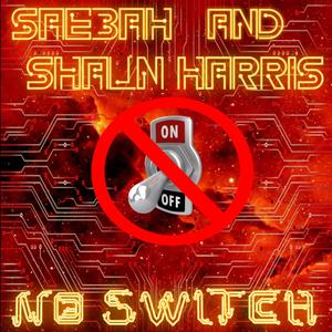 NO SWITCH (feat. Shaun Harris) (Explicit)