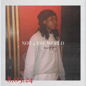 Not 4 The World (Explicit)