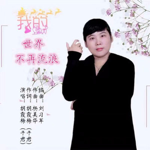 我的世界不再流浪