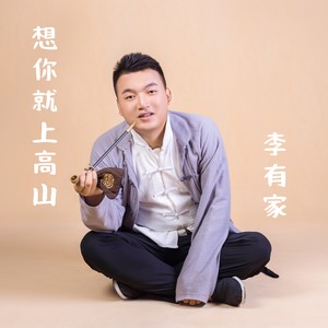 想你就上高山 (DJ默涵版伴奏)