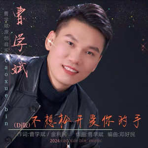 不想松开爱你的手 (降调版)