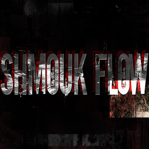 Shmouk Flow (Explicit)