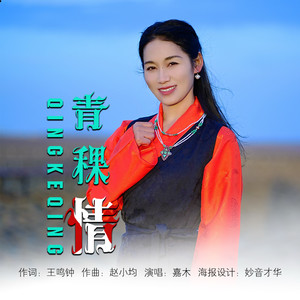 青稞情