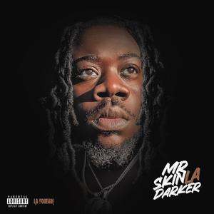 Mr.skinaladarker (Explicit)