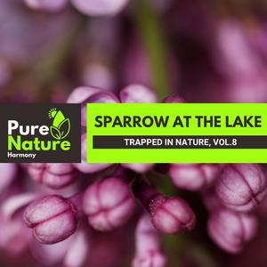 Sparrow at The Lake - Trapped in Nature, Vol.8