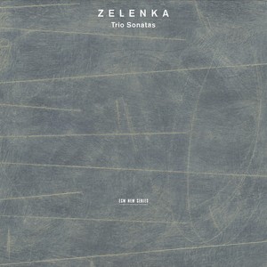 6 Trio Sonatas, ZWV 181, No. 6 in C Minor - Zelenka: 6 Trio Sonatas, ZWV 181, No. 6 in C Minor: II. Allegro (第2首 快板)