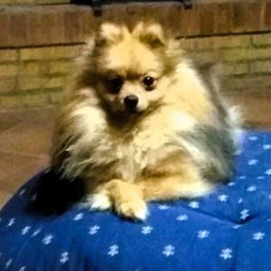 Fuori controllo (Live Version)