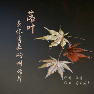 落叶是你寄来的明信片