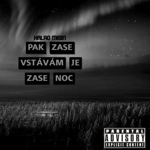 Zase noc (feat. Misin) [Explicit]