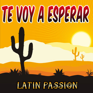 Te Voy a Esperar - Single