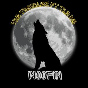 Woofin (feat. TBM RIO) [Explicit]