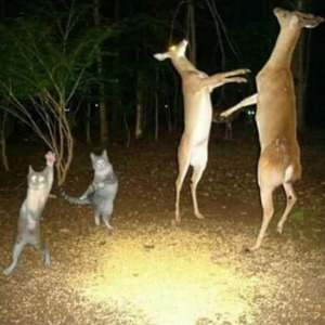 Walking In the Sun (rework)