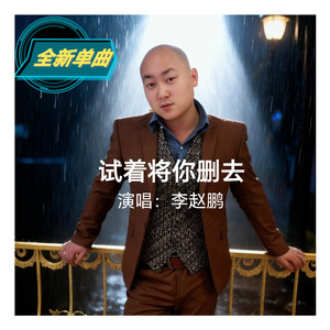 试着将你删去 (DJ 高清版)