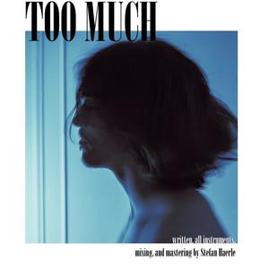 Too Much (Inst.)