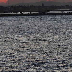 Warm Winta wonderland