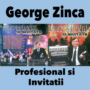 Profesional Si Invitatii