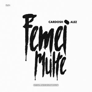 Femei Multe (feat. Alez)