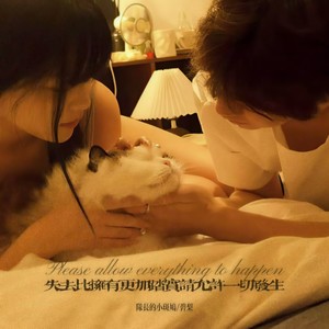 失去比拥有更加踏实请允许一切发生