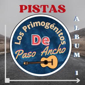 Pistas Album 1