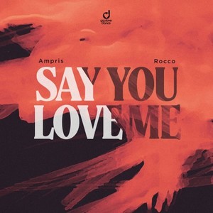 Say You Love Me