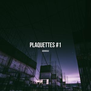 PLAQUETTES #1 (Explicit)