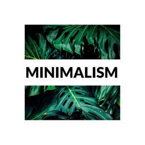Minimalism
