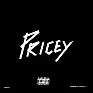 Pricey (Explicit)