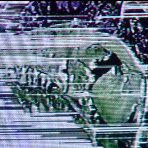 The World Feels So Big