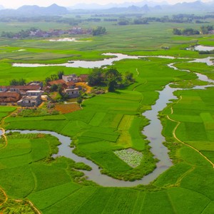 我想我还是爱你的