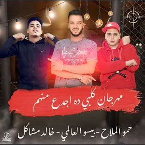 مهرجان كلبي ده اجدع منهم