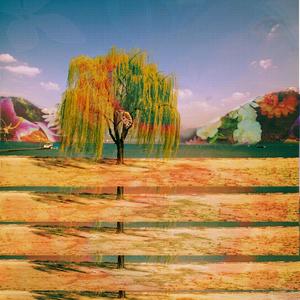 DZRT ANML - BLUE EYES