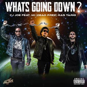 What's Going Down? (feat. M1 Dead Prez & Ras Tariq) (Explicit)