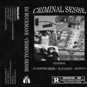 CRIMINAL SENSE (Explicit)