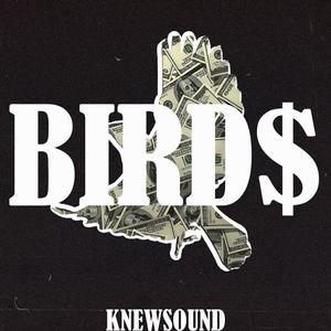 Bird$ (feat. Lance DeVinci, Big16 Balla & West$ide Dallas)