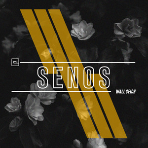 Senos (Original Mix)