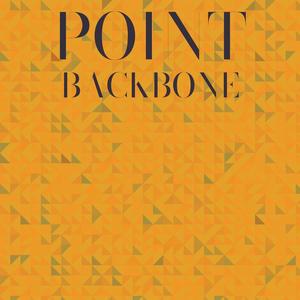 Point Backbone