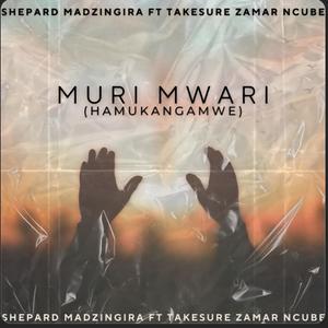 Muri Mwari (Hamukangamwe) (feat. Takesure Zamar Ncube)
