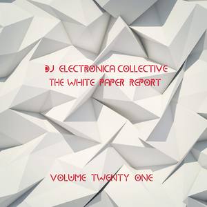 DJ Electronica Collective: The White Paper Report, Vol. 21