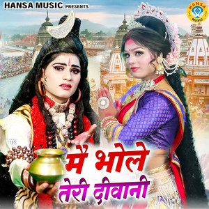 Main Bhole Teri Deewani