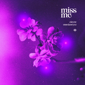 Miss Me (Extended Mix)