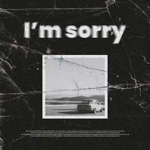 I'm Sorry (feat. Franzy & Lexy) [Explicit]