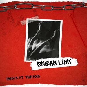 Sneaky Links (feat. Ybs kxd)