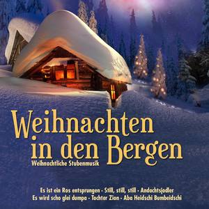 Weihnachten in den Bergen (Stubenmusik)