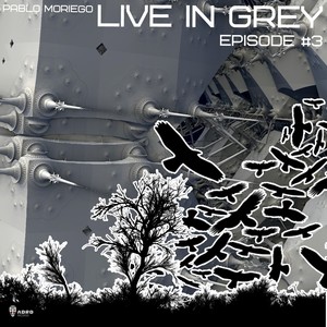 Live in Grey Episode #3