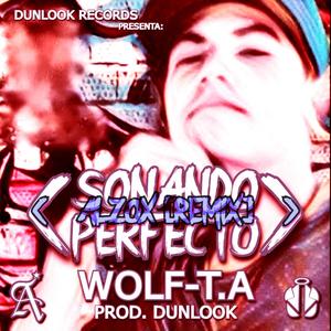 Sonando Perfecto (Alzox Remix) [Explicit]