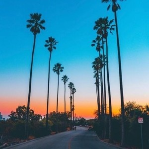 蒲公英的约定 (温柔女声版)