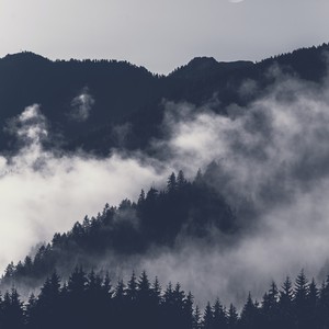 岚封面