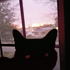 could give (feat. ExodusXVIII) (Explicit)