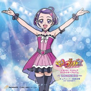 ドキドキ!プリキュア キャラクターアルバム