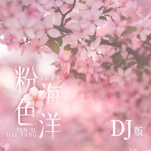 粉色海洋 (DJ版伴奏)